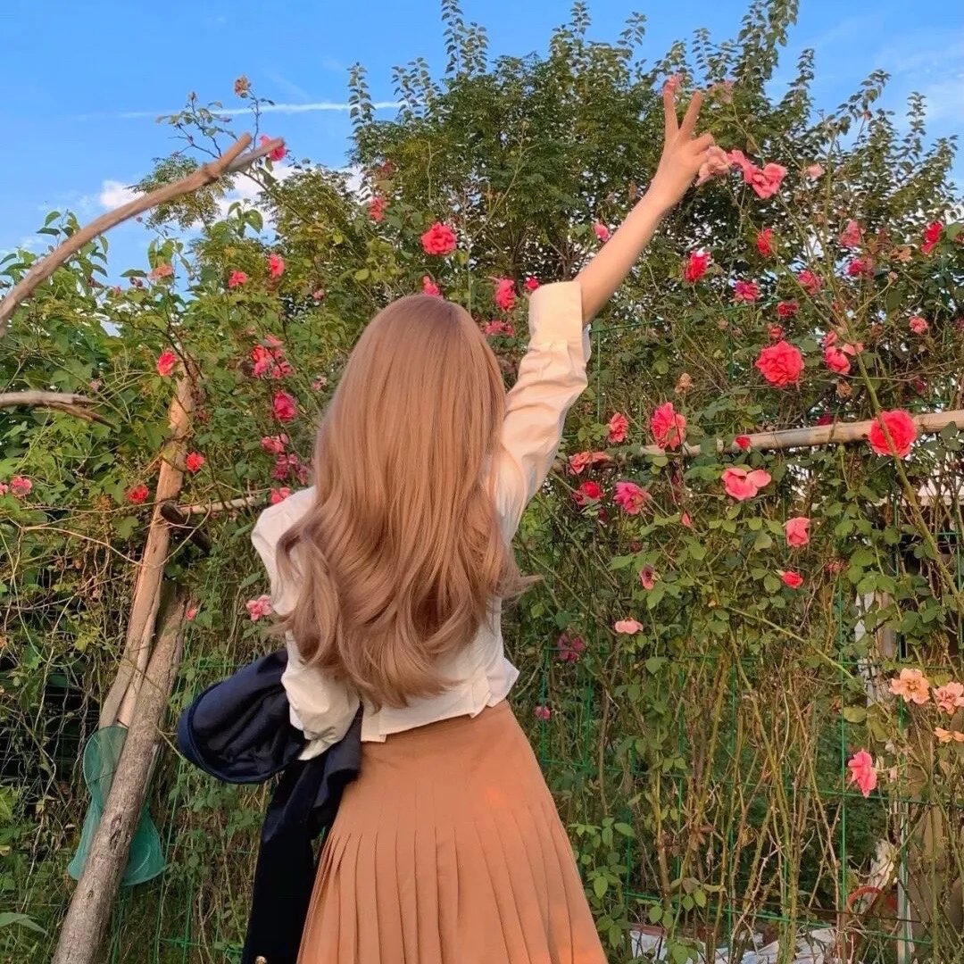 记录的地平线第一季